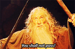 An animated GIF of Lord of the Rings character Gandalf saying his well-known line, "You shall not pass!"