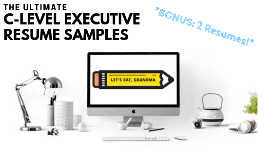 2 Exceptional Executive Resume Examples (with Writing Guide!)