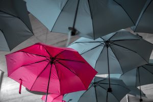 pink umbrella. Photo by Noah Näf on Unsplash. 