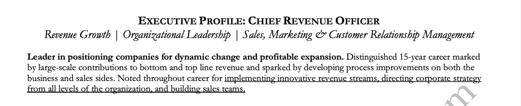 executive-level resume profile