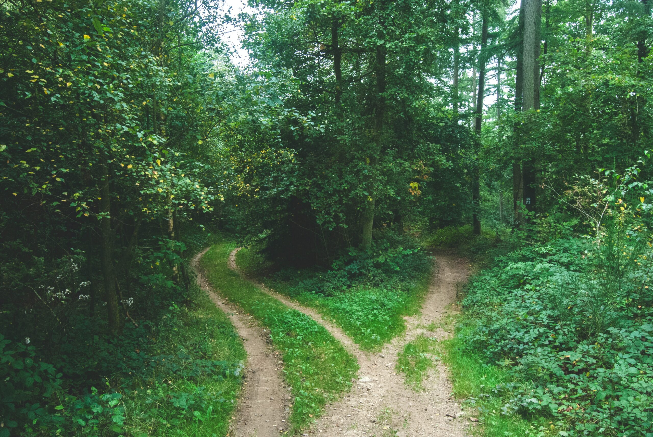 a fork in the road